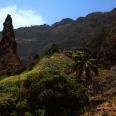 Die Hartnäckige 